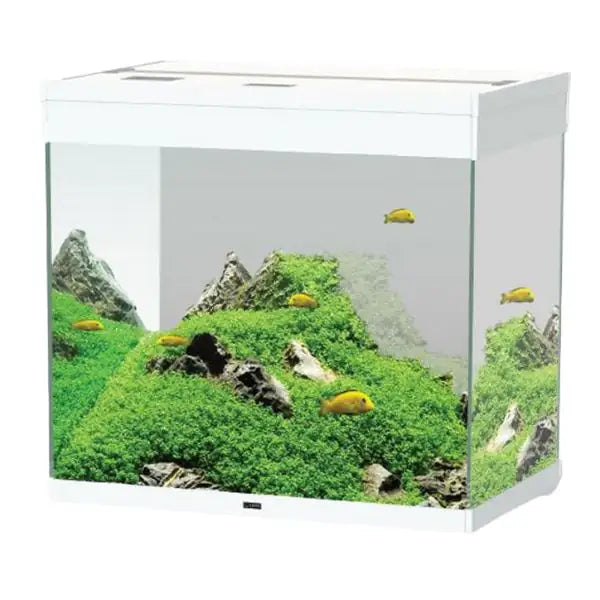 Acquario Ciano Emotions Nature Pro 60 Askoll portata 110 litri  Bianco - 61,2 x 40,2 x 56 bauzaarit.myshopify.com