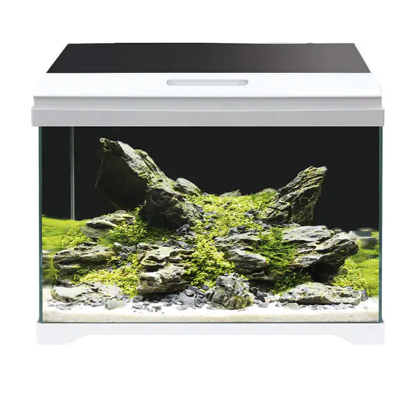 Acquario Modern Tank Amtra   bauzaarit.myshopify.com