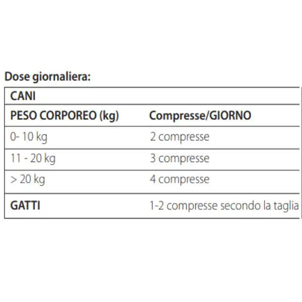 Actinorm Pro Compresse per Cani e Gatti   bauzaarit.myshopify.com