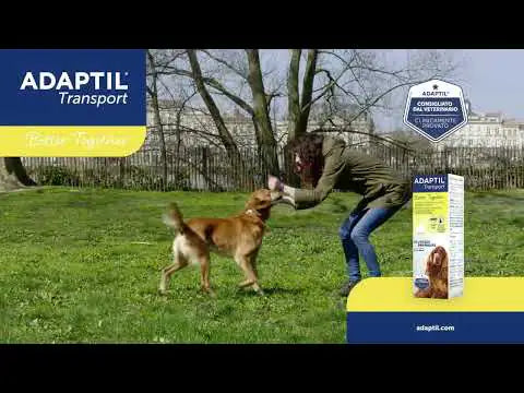 Adaptil Transport Spray calmante   bauzaarit.myshopify.com