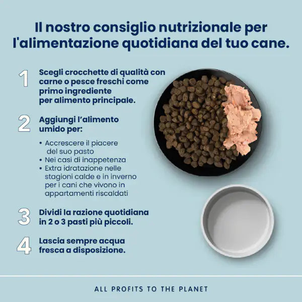 Almo Nature Life Maintenance Medium Adult con Pollo   bauzaarit.myshopify.com