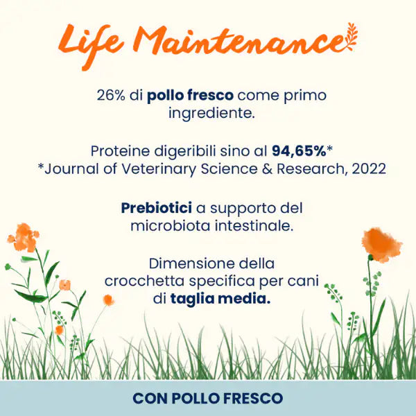 Almo Nature Life Maintenance Medium Adult con Pollo   bauzaarit.myshopify.com