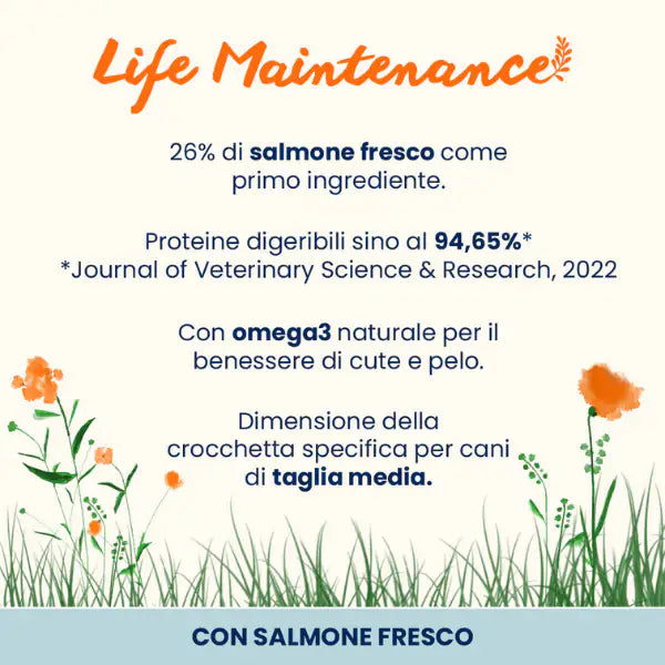Almo Nature Life Maintenance Medium Adult con Salmone   bauzaarit.myshopify.com