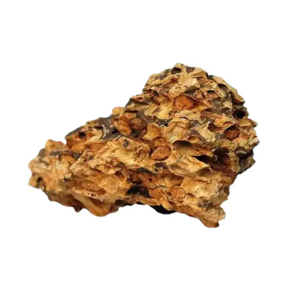Aquadeco Roccia Naturale decorativa per Acquari e Terrari  Dragon stone S bauzaarit.myshopify.com