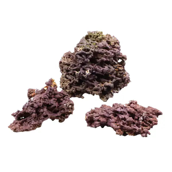 Aquadeco Roccia Naturale decorativa per Acquari e Terrari  Jurassic reef rock S bauzaarit.myshopify.com