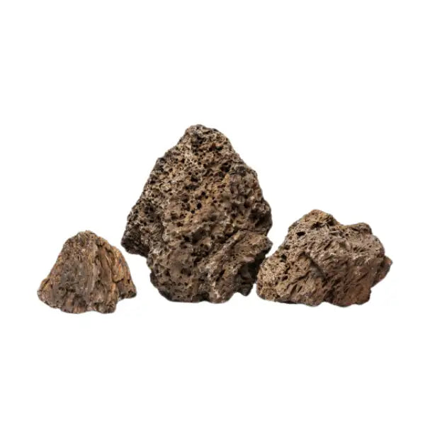Aquadeco Roccia Naturale decorativa per Acquari e Terrari  Loa Rock - L bauzaarit.myshopify.com