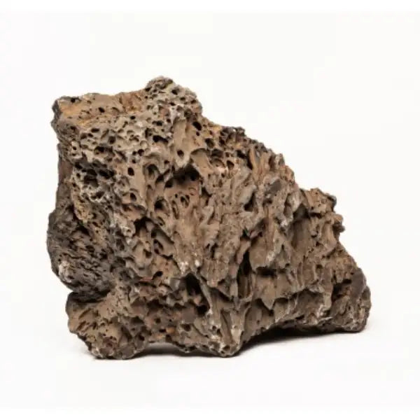 Aquadeco Roccia Naturale decorativa per Acquari e Terrari  Loa Rock - S bauzaarit.myshopify.com