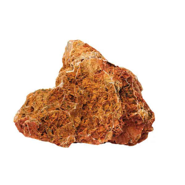 Aquadeco Roccia Naturale decorativa per Acquari e Terrari  Maple leaf rock M bauzaarit.myshopify.com