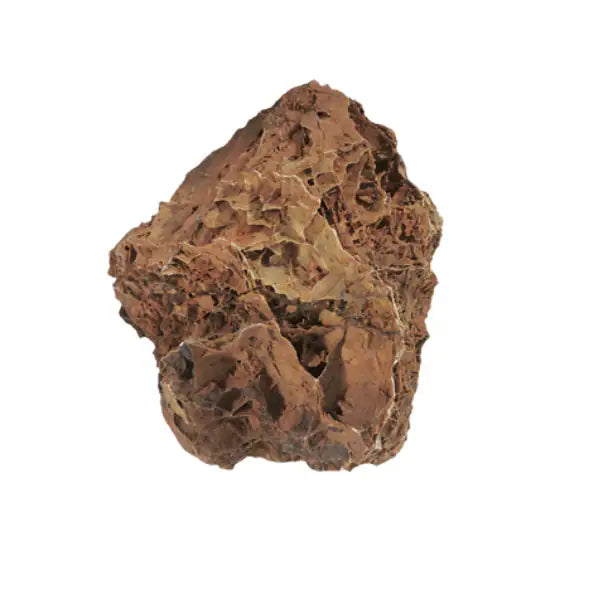 Aquadeco Roccia Naturale decorativa per Acquari e Terrari  Maple leaf rock S bauzaarit.myshopify.com