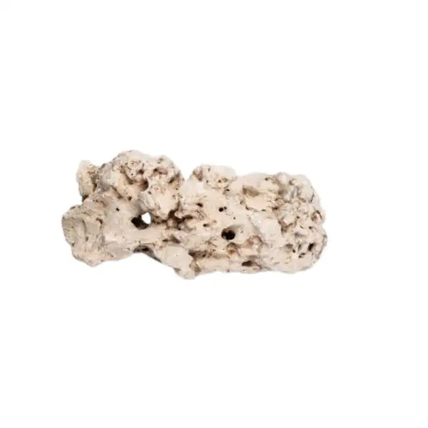 Aquadeco Roccia Naturale decorativa per Acquari e Terrari  Multi hole stone M bauzaarit.myshopify.com