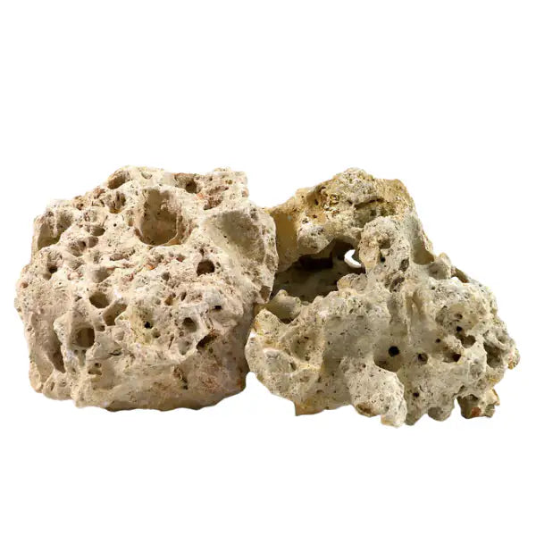 Aquadeco Roccia Naturale decorativa per Acquari e Terrari  Multi hole stone S bauzaarit.myshopify.com
