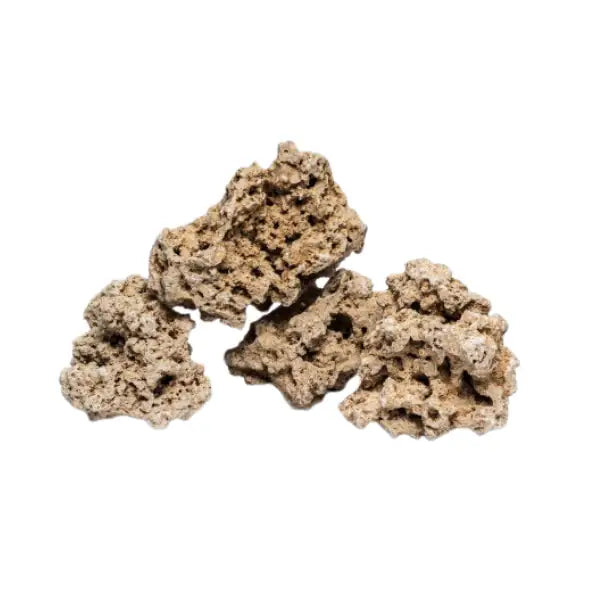 Aquadeco Roccia Naturale decorativa per Acquari e Terrari  Save the reef rock S bauzaarit.myshopify.com