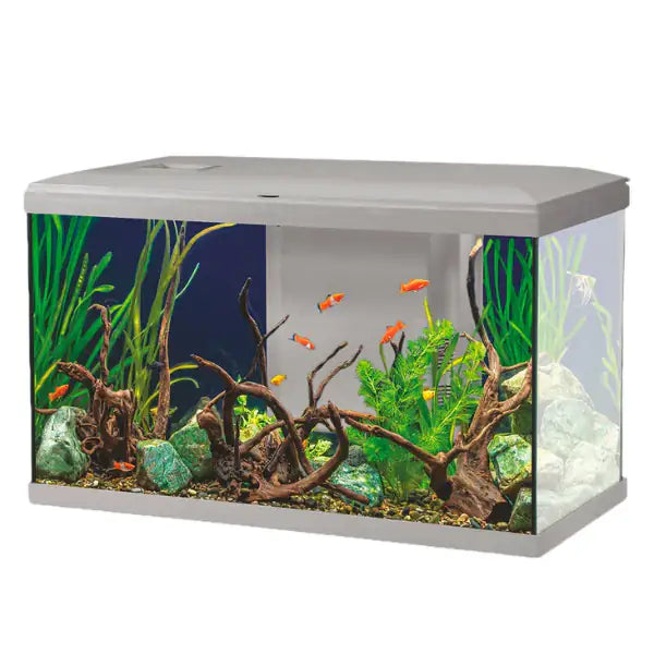 Aqualovers Acquario Ocean 60  Grigio bauzaarit.myshopify.com