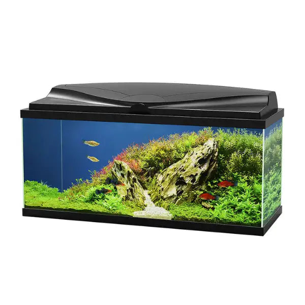 Aquario Aqua 80 Led Askoll portata 70 litri  Nero - 80 x 30 x 41,5 cm bauzaarit.myshopify.com