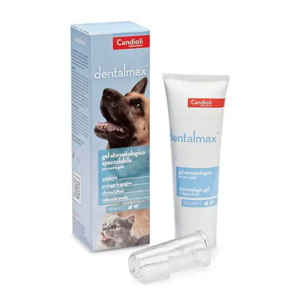 Candioli Pharma DentalMax gel stomatologico  Tubo da 50 ml bauzaarit.myshopify.com