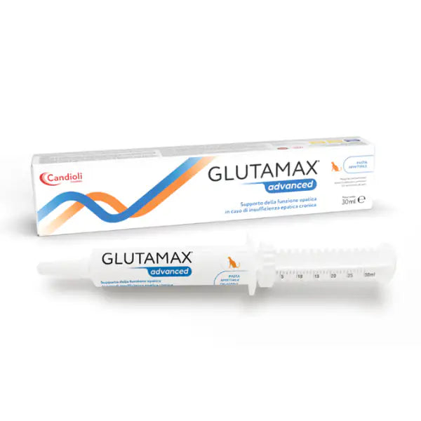 Candioli Pharma Glutamax Advanced supporto della funzione epatica Pasta gatto  30 ml bauzaarit.myshopify.com