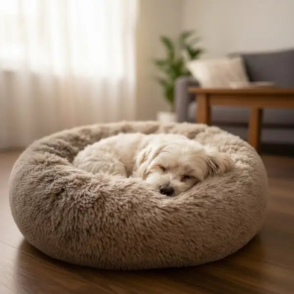 Cuccia Ciambella Poilu Bobby Croci   bauzaarit.myshopify.com