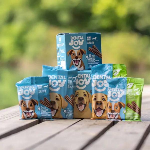 DentalJoy Dog Adult Mini Snack Dentali   bauzaarit.myshopify.com
