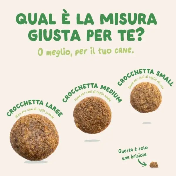 Edgard & Cooper Adult Small Grain Free Agnello   bauzaarit.myshopify.com