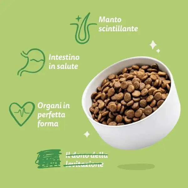 Edgard & Cooper Adult Small Grain Free Agnello   bauzaarit.myshopify.com