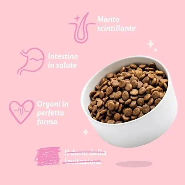 Edgard & Cooper Puppy Small Grain Free Anatra e Pollo   bauzaarit.myshopify.com