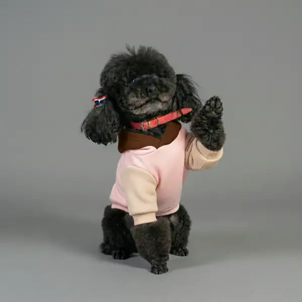 Felpa per cani colorazione a blocchi Base rosa Bauzaar  Modello 2 - Fantasia 1 base rosa bauzaarit.myshopify.com