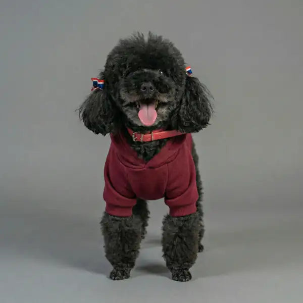 Felpa per cani mono colorazione Bordeaux Bauzaar  Modello 2 - Bordeau x bauzaarit.myshopify.com