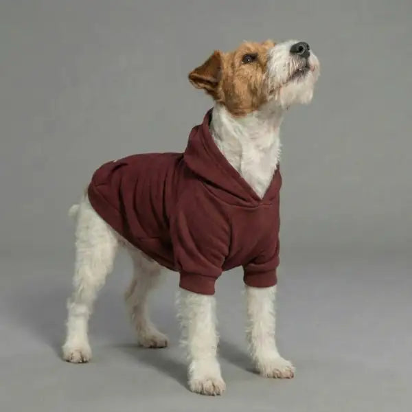 Felpa per cani mono colorazione Bordeaux Bauzaar  Modello 4 - Bordeau x bauzaarit.myshopify.com