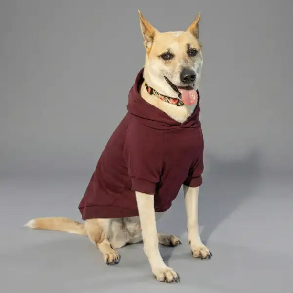 Felpa per cani mono colorazione Bordeaux Bauzaar  Modello 6 - Bordeaux bauzaarit.myshopify.com