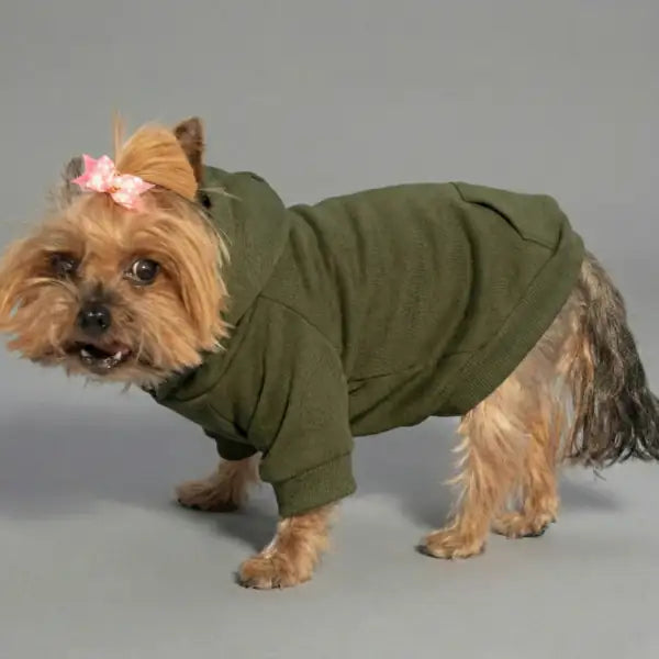 Felpa per cani mono colorazione Verde muschio Bauzaar  Modello 1 - Verde muschio bauzaarit.myshopify.com