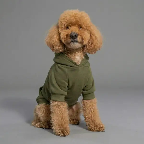 Felpa per cani mono colorazione Verde muschio Bauzaar  Modello 3 - Verde muschio bauzaarit.myshopify.com