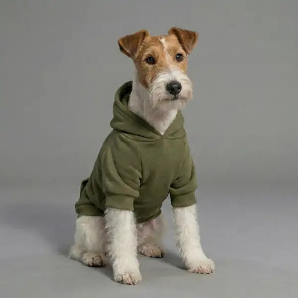 Felpa per cani mono colorazione Verde muschio Bauzaar  Modello 4 - Verde muschio bauzaarit.myshopify.com