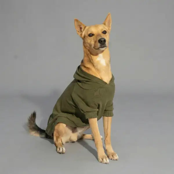Felpa per cani mono colorazione Verde muschio Bauzaar  Modello 5 - Verde muschio bauzaarit.myshopify.com