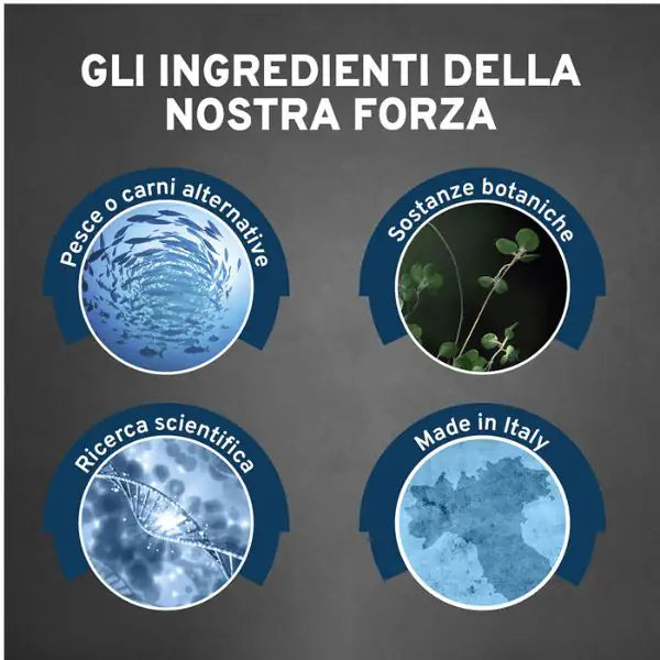 Forza10 Activ Cane Intestinal 100 gr   bauzaarit.myshopify.com