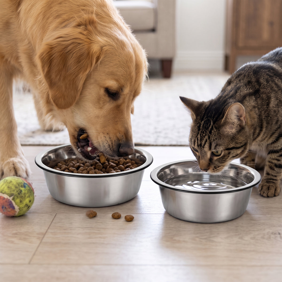 Ciotola in acciaio inox per cani Ferribiella