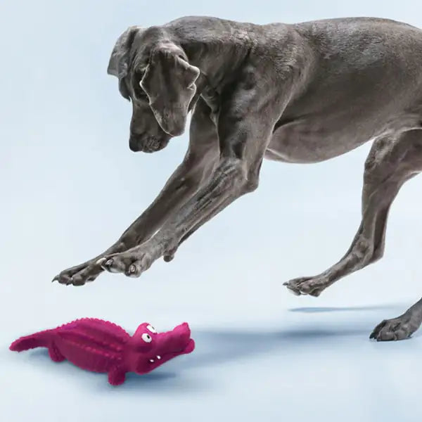Gioco per cani in gomma naturale di cauciù Panton Croci colori assortiti   bauzaarit.myshopify.com