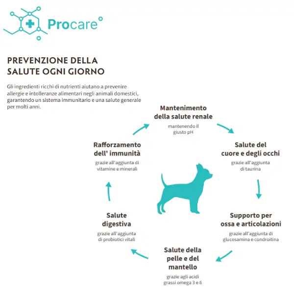 Grandorf Cat Sterilised Hypoallergenic multiproteico 4 carni   bauzaarit.myshopify.com