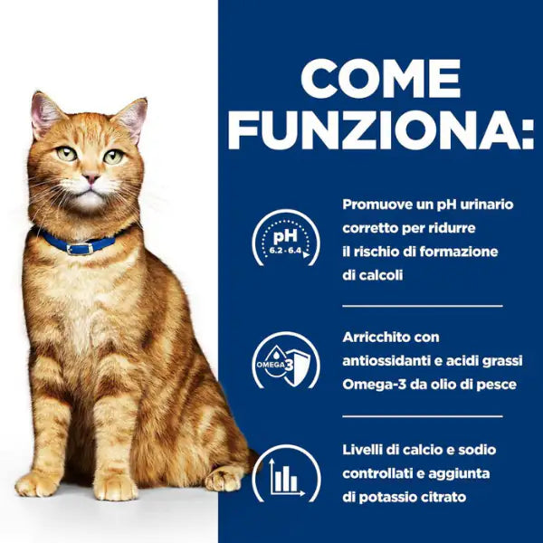 Hill's Prescription Diet Feline c/d Multicare 82 gr   bauzaarit.myshopify.com