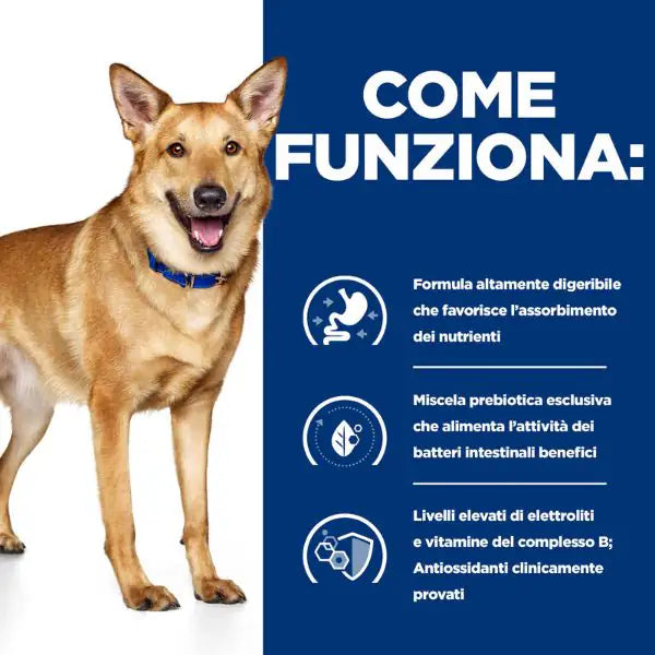 Hill's Prescription Diet i/d Canine 200 gr   bauzaarit.myshopify.com