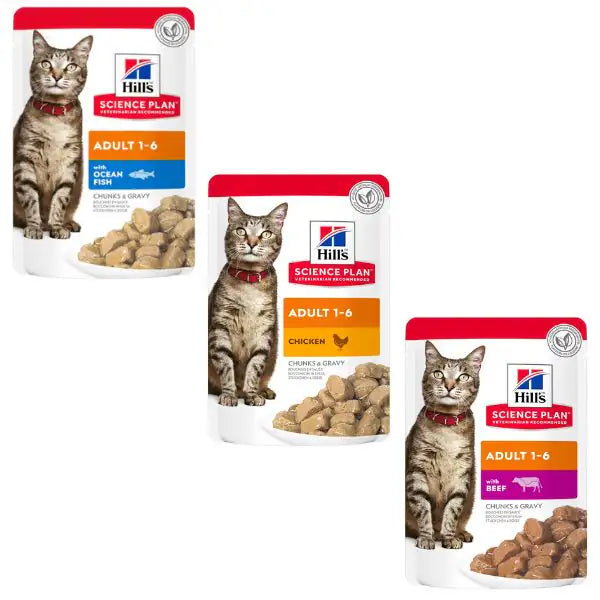 Hill's Science Plan Adult Alimento per Gatti 85 gr   bauzaarit.myshopify.com