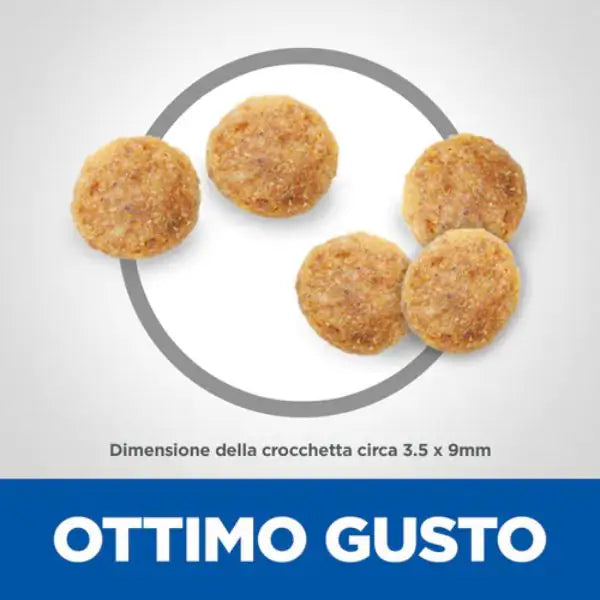 Hill's Science Plan Mature Adult 7+ Alimento per Gatti al Pollo   bauzaarit.myshopify.com
