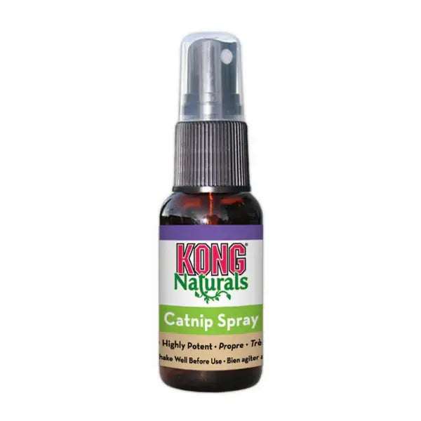 Kong Catnip Spray Erba Gatta   bauzaarit.myshopify.com