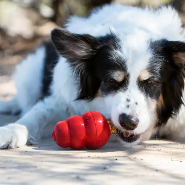 Kong Stuff’N Liver Snacks   bauzaarit.myshopify.com