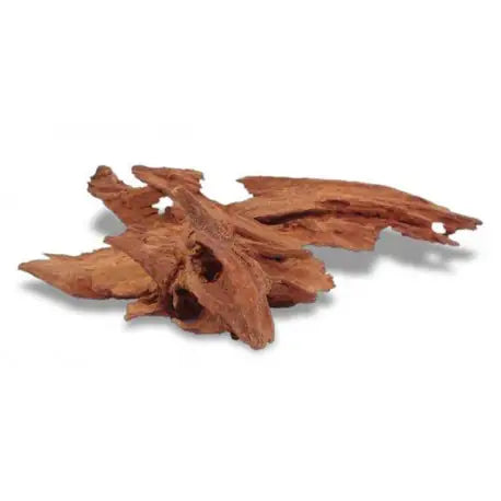Legno decorativo per acquario Amtra  25-35 cm - Jati bauzaarit.myshopify.com