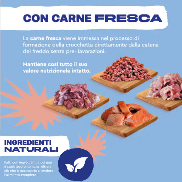 LifeCat Natural Adult Urinary con Pollo fresco   bauzaarit.myshopify.com