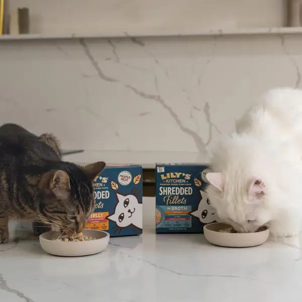 Lily's Kitchen Cat Shredded Fillets in Jelly Multipack 8x70 gr   bauzaarit.myshopify.com