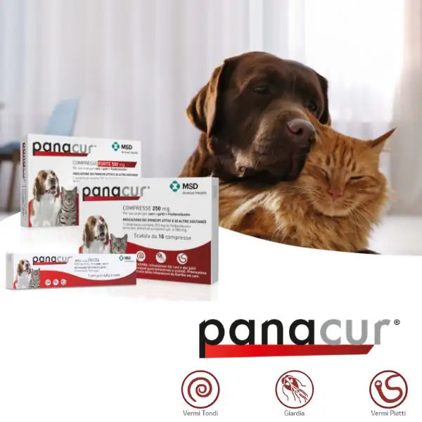 MSD Panacur Forte compresse cane e gatto   bauzaarit.myshopify.com