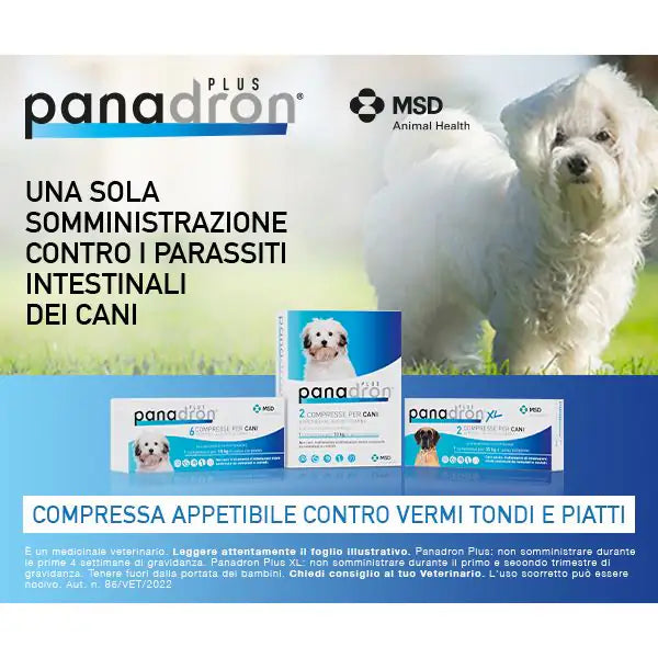 MSD Panadron Plus vermifugo compresse per cani <35 Kg   bauzaarit.myshopify.com