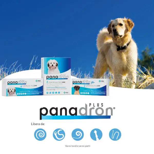 MSD Panadron Plus vermifugo compresse per cani <35 Kg   bauzaarit.myshopify.com