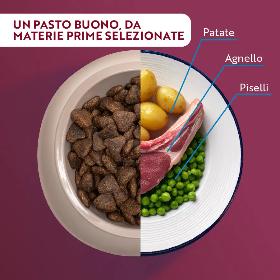 Monopro lo specialista Adult Medium/Large Grain Free Agnello   bauzaarit.myshopify.com